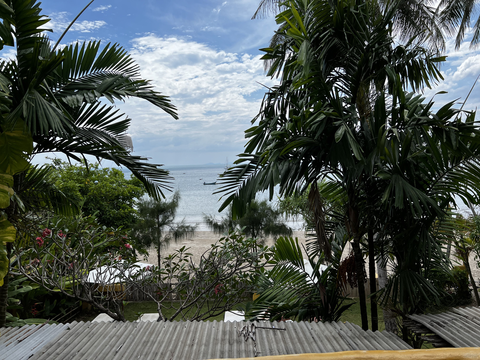 รูปถ่าย ไทย(Thailand) เกาะลันตา(Ko Lanta) 2023-01 270