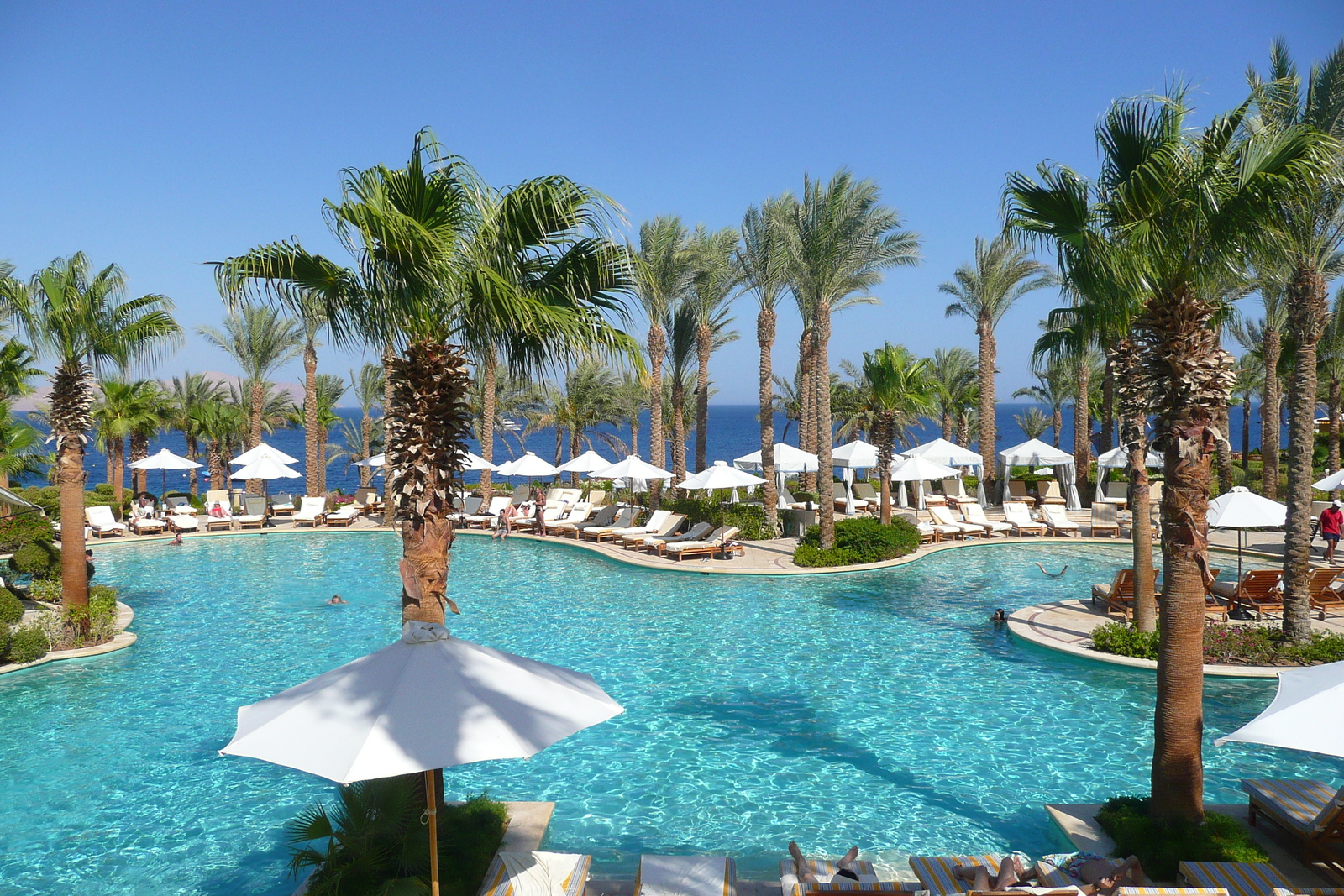 รูปถ่าย อียิปต์(Egypt) ชาร์มเอลชีค(Sharm el Sheikh) โรงแรมโฟร์ซีซันส์(Four Seasons Hotel) สระว่ายน้ำอัลวาฮา โฟร์ซีซันส์(Four Seasons Al Waha Pool) 2008-06 31