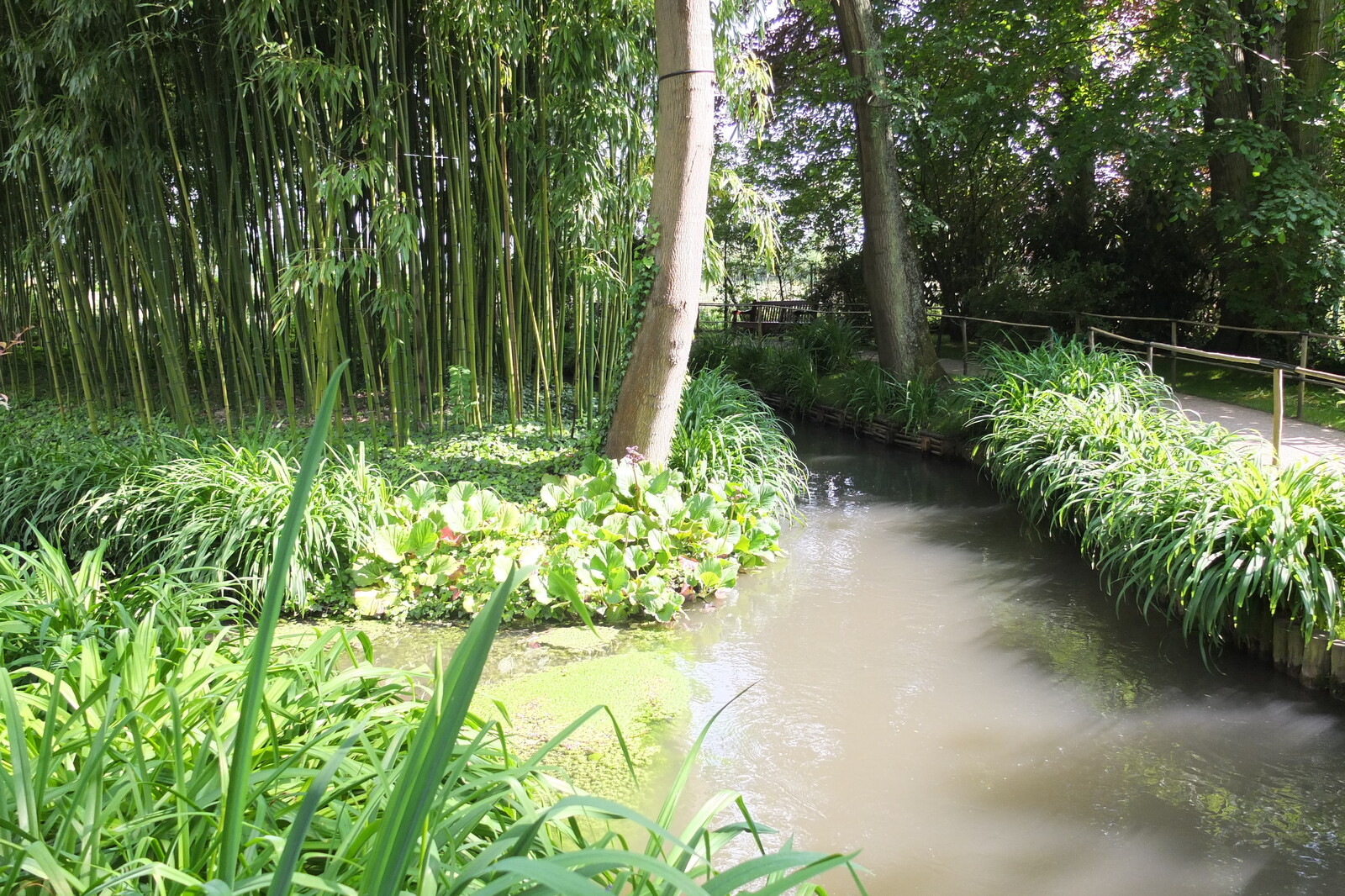 รูปถ่าย ฝรั่งเศส(France) ฌีแวร์นี(Giverny) 2013-06 63