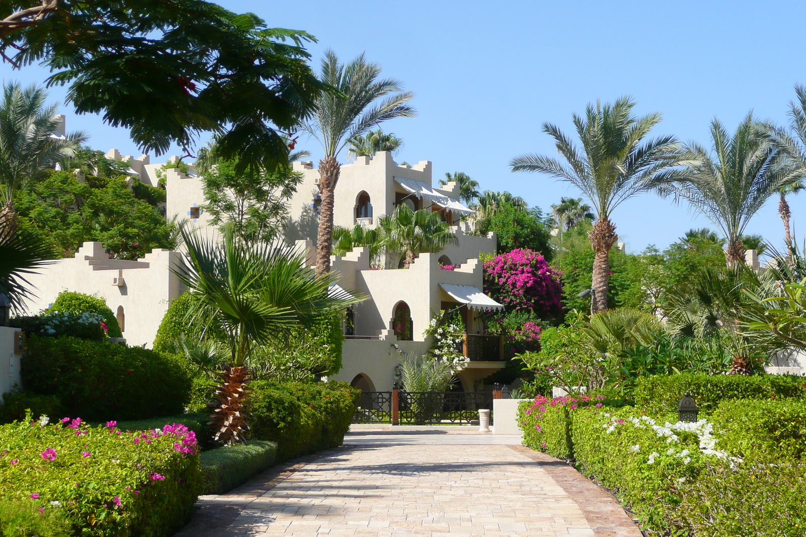 รูปถ่าย อียิปต์(Egypt) ชาร์มเอลชีค(Sharm el Sheikh) โรงแรมโฟร์ซีซันส์(Four Seasons Hotel) 2008-06 50