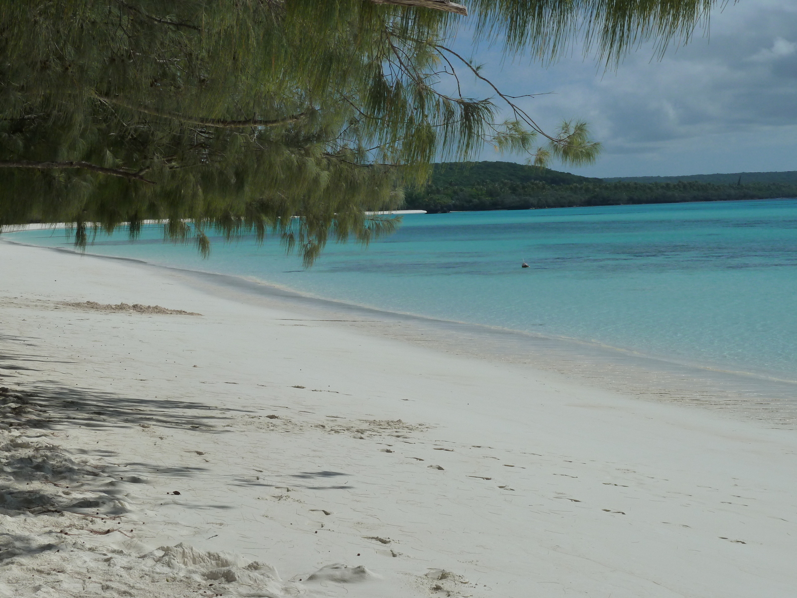 รูปถ่าย นิวแคลิโดเนีย(New Caledonia) เกาะลีฟู(Lifou) หาดลูเอ็งโกนี(Luengoni Beach) 2010-05 38