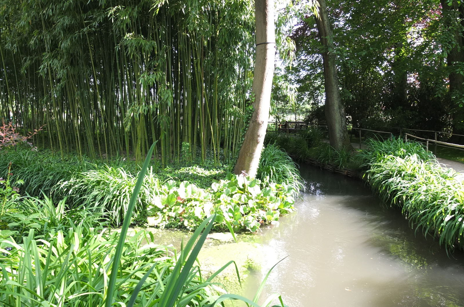 รูปถ่าย ฝรั่งเศส(France) ฌีแวร์นี(Giverny) 2013-06 84