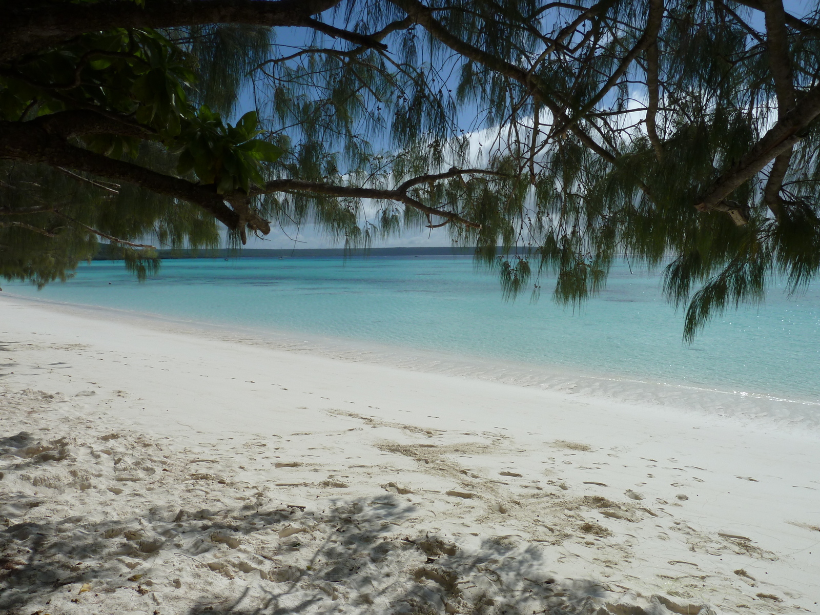 รูปถ่าย นิวแคลิโดเนีย(New Caledonia) เกาะลีฟู(Lifou) หาดลูเอ็งโกนี(Luengoni Beach) 2010-05 29