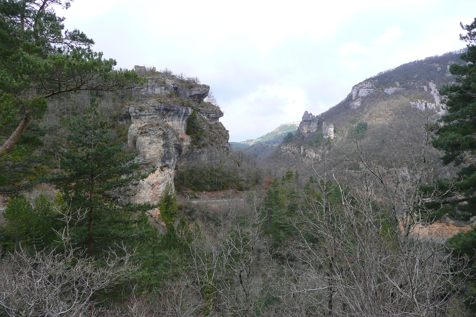 รูปถ่าย ฝรั่งเศส(France) โอบรัก(L'Aubrac) 2008-04 18