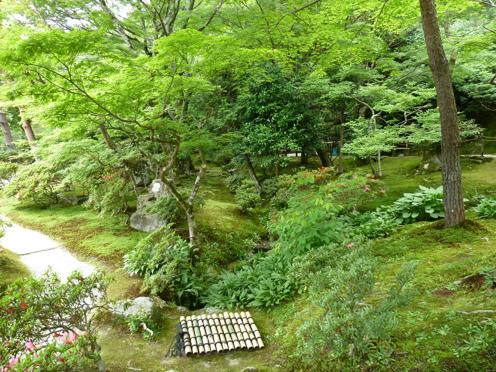 รูปถ่าย ญี่ปุ่น(Japan) เกียวโต(Kyoto) วัดกินกะกุจิ (ศาลาเงิน)(Ginkakuji Temple(Silver Pavilion)) 2010-06 50