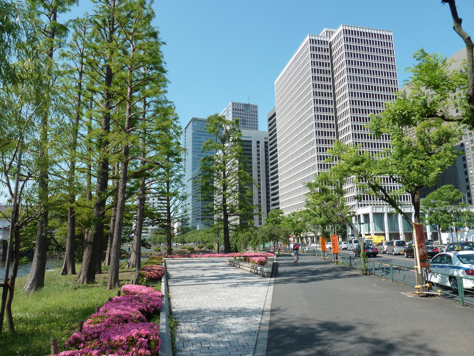 รูปถ่าย ญี่ปุ่น(Japan) โตเกียว(Tokyo) พระราชวังหลวง(Imperial Palace) 2010-06 96