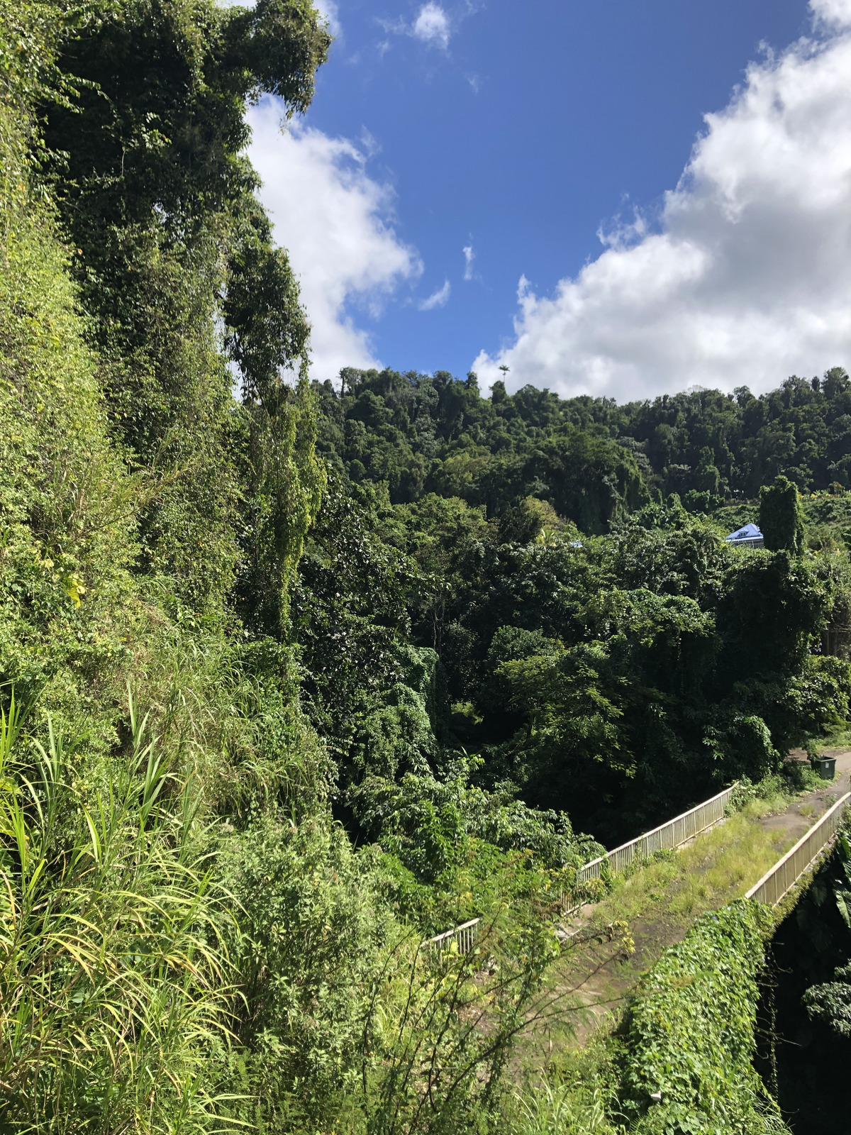 รูปถ่าย กวาเดอลูป(Guadeloupe) ภูเขาไฟลากร็องด์ซูฟรีแยร์(La Grande Soufriere) 2021-02 38