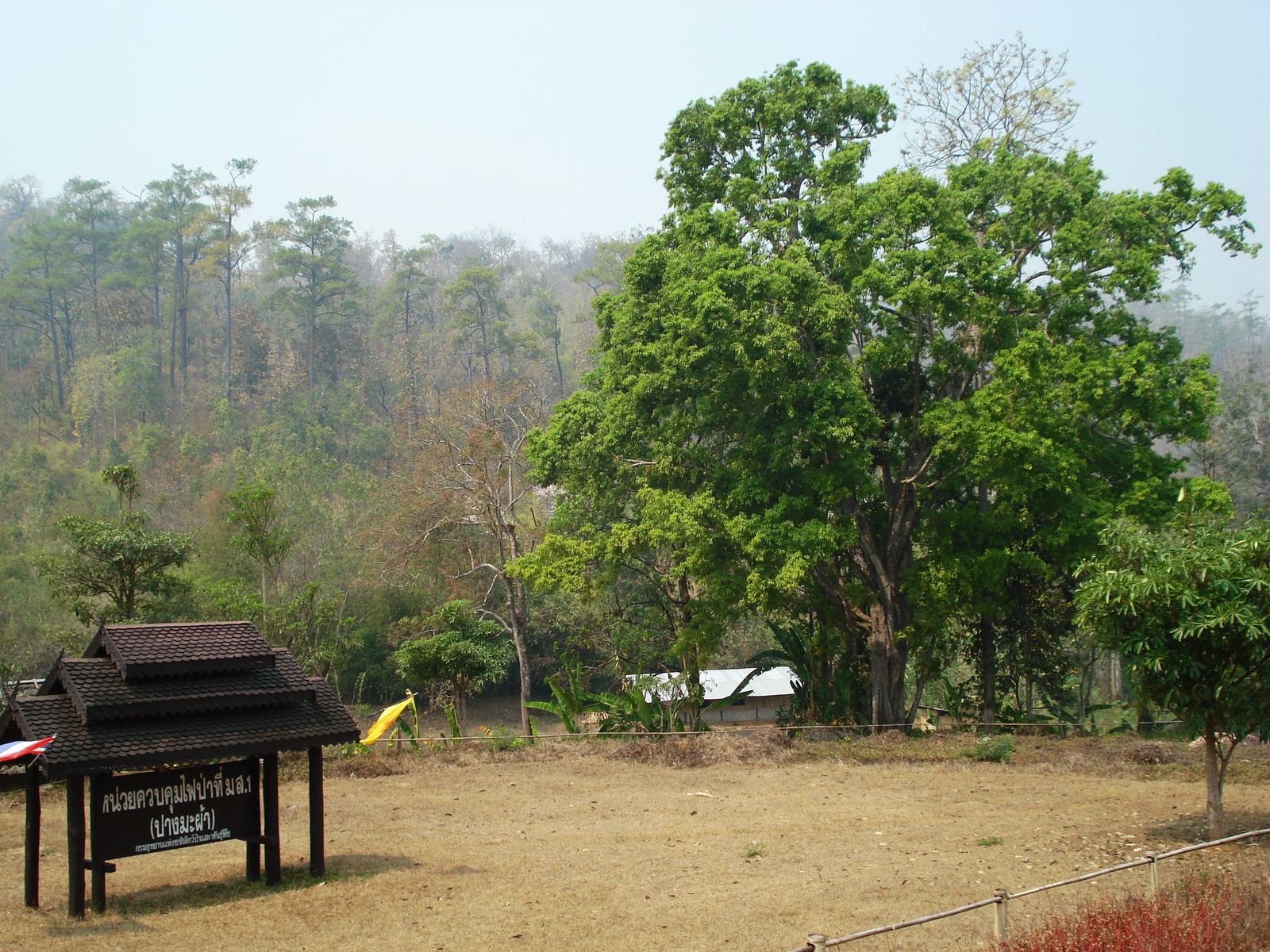 รูปถ่าย ไทย(Thailand) ถนนจากปางมะผ้าไปปาย(Pang Mapha to Pai road) 2007-02 3