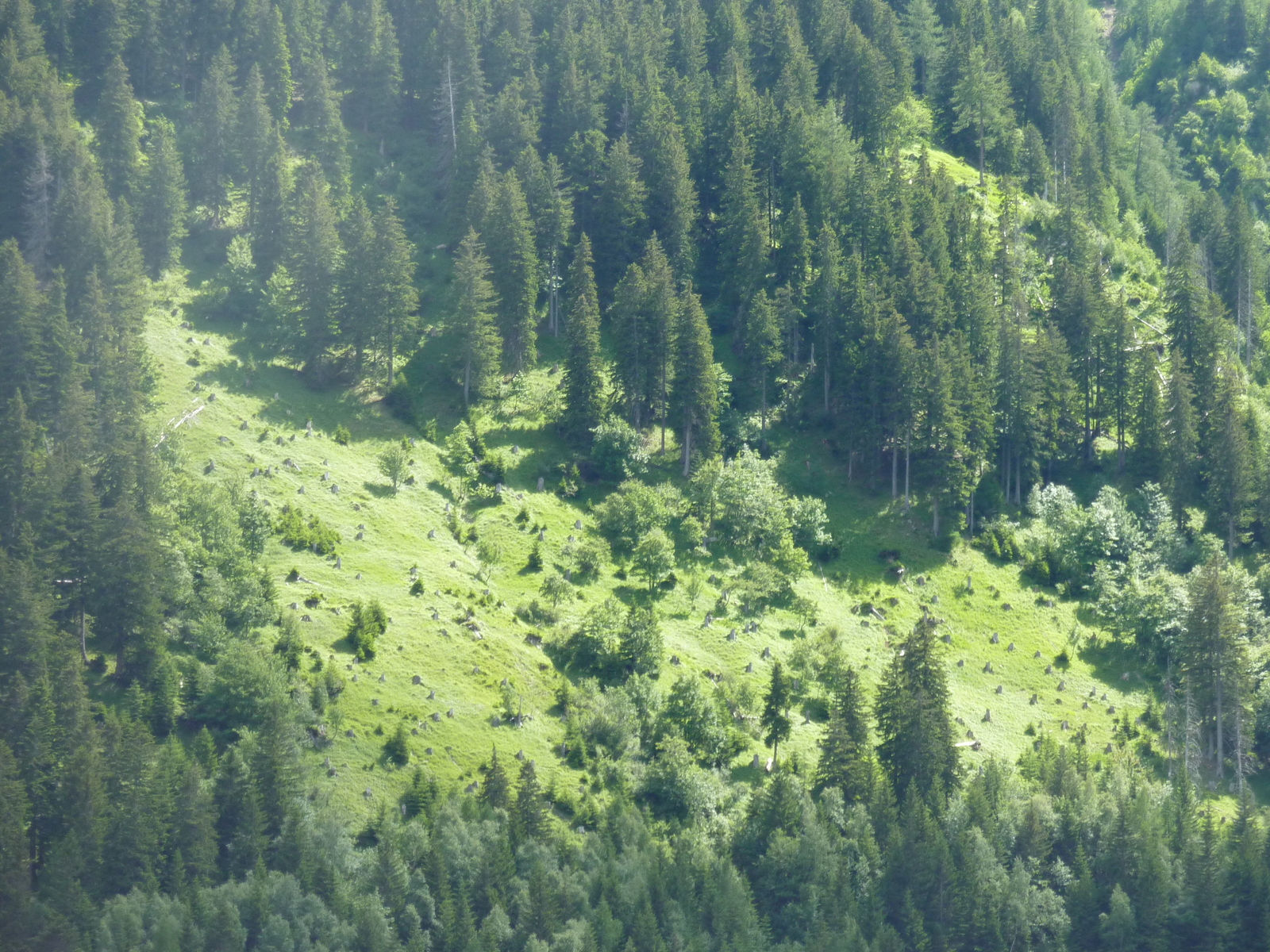รูปถ่าย สวิสเซอร์แลนด์(Switzerland) ช่องเขากอตธาร์ด(Gotthard Pass) 2009-06 80