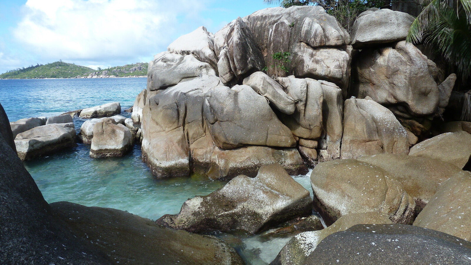 รูปถ่าย เซเชลส์(Seychelles) เกาะโกโก้(Coco Island) 2011-10 23