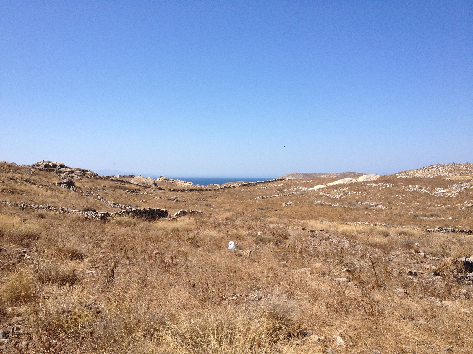 รูปถ่าย กรีก(Greece) เกาะดีลอส(Delos) 2014-07 166
