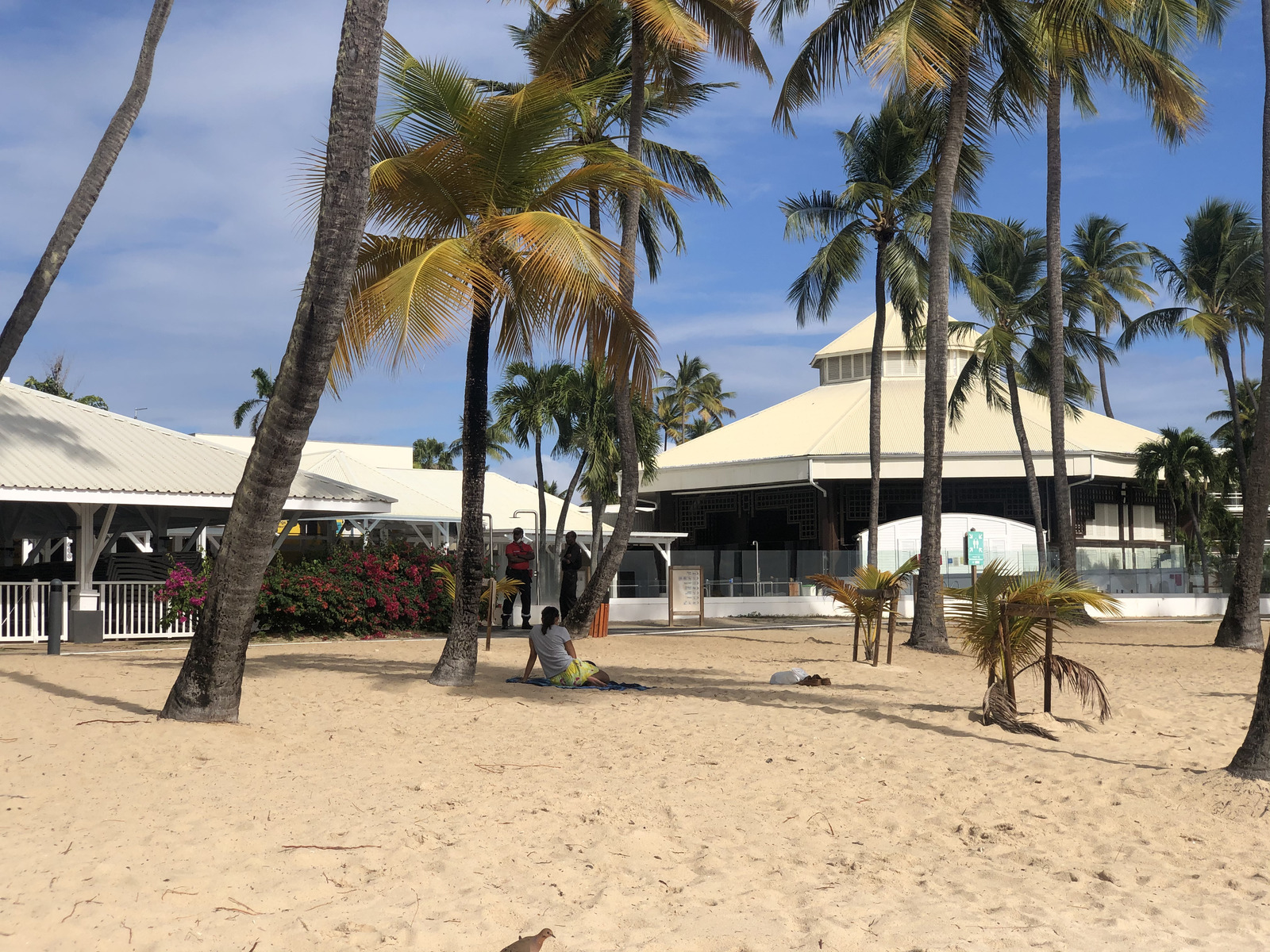รูปถ่าย กวาเดอลูป(Guadeloupe) หาดลาการาแวล(La Caravelle Beach) 2021-02 123