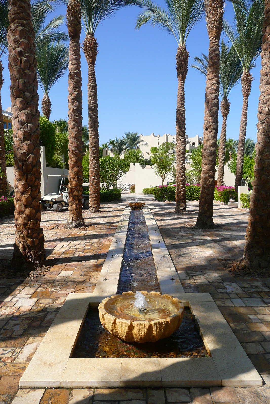 รูปถ่าย อียิปต์(Egypt) ชาร์มเอลชีค(Sharm el Sheikh) โรงแรมโฟร์ซีซันส์(Four Seasons Hotel) 2008-06 25