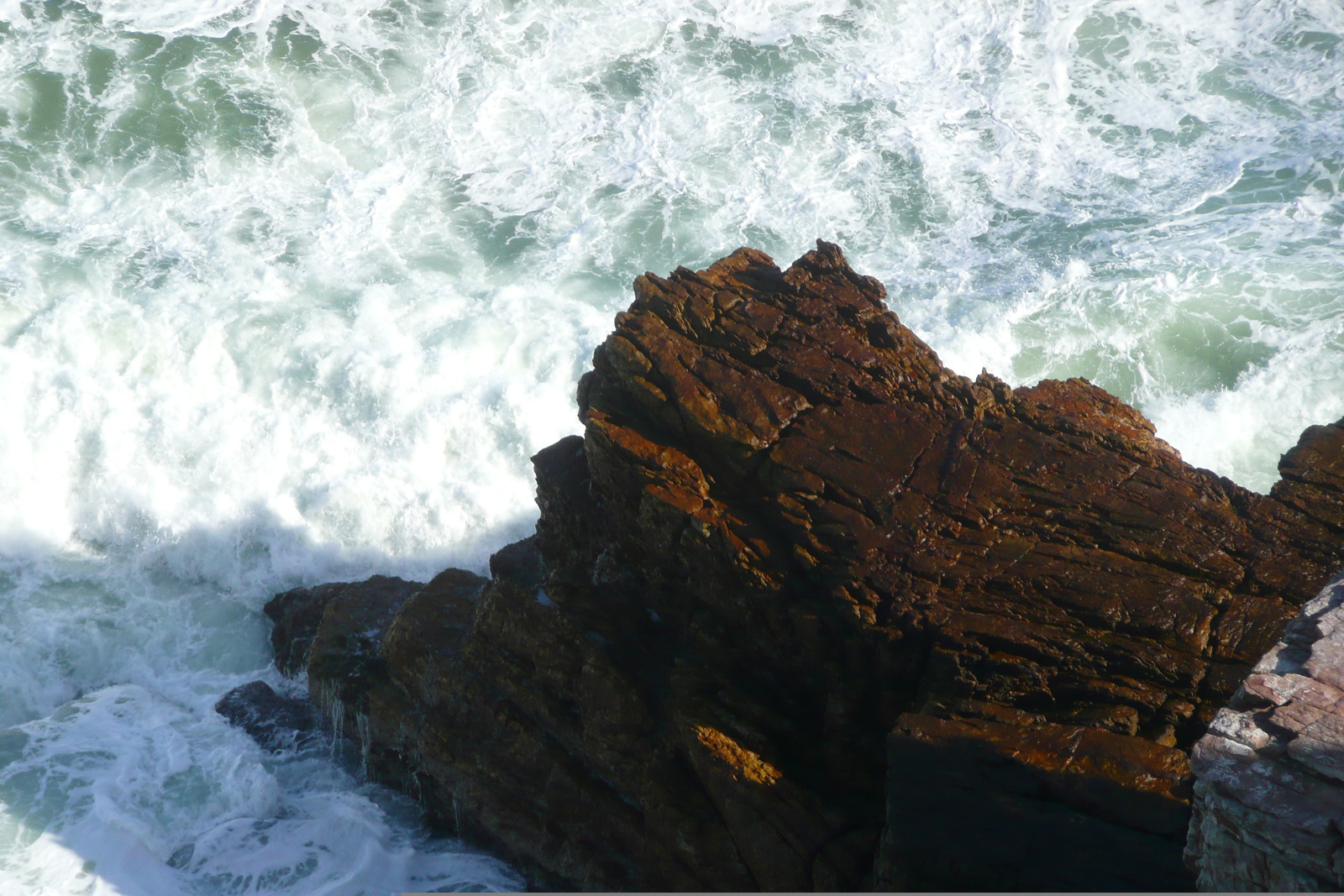 รูปถ่าย แอฟริกาใต้(South Africa) แหลมกู๊ดโฮป(Cape of Good Hope) แหลมเคปพอยต์(Cape Point) 2008-09 9