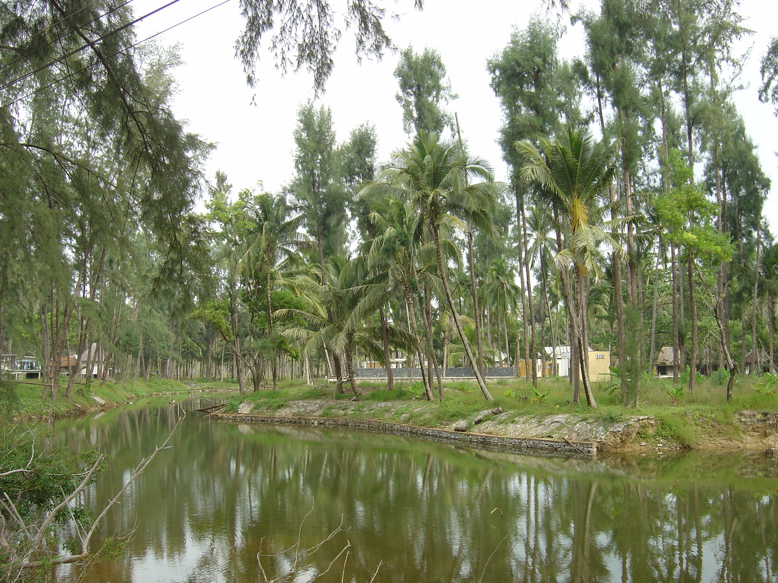 รูปถ่าย ไทย(Thailand) เขาหลัก(Khao Lak) หาดบางสัก(Bang Sak Beach) 2005-12 11