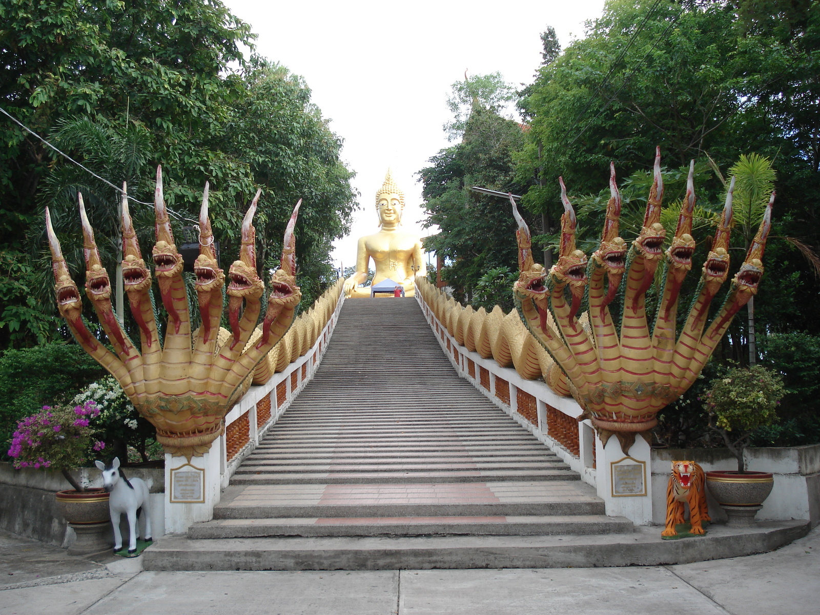 รูปถ่าย ไทย(Thailand) พัทยา(Pattaya) 2006-09 40