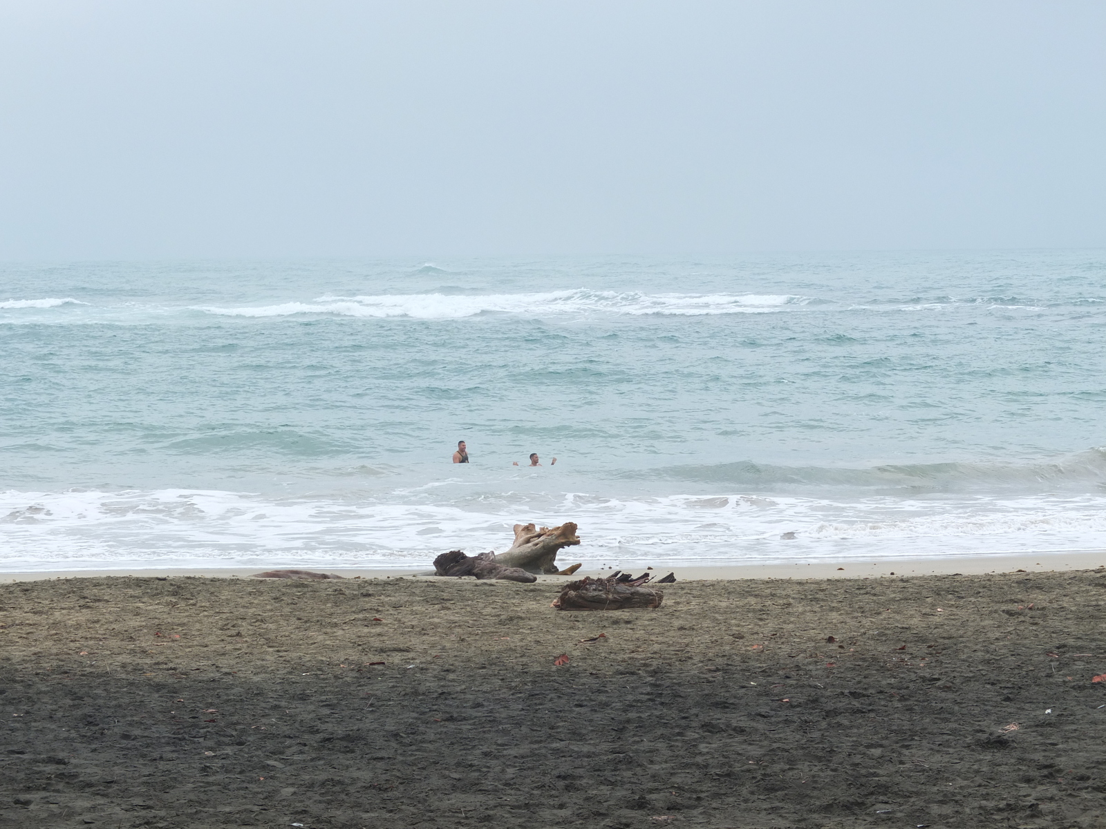 รูปถ่าย คอสตาริกา(Costa Rica) ปวยร์โตเบียโฆเดตาลามังกา(Puerto Viejo de Talamanca) 2015-03 0