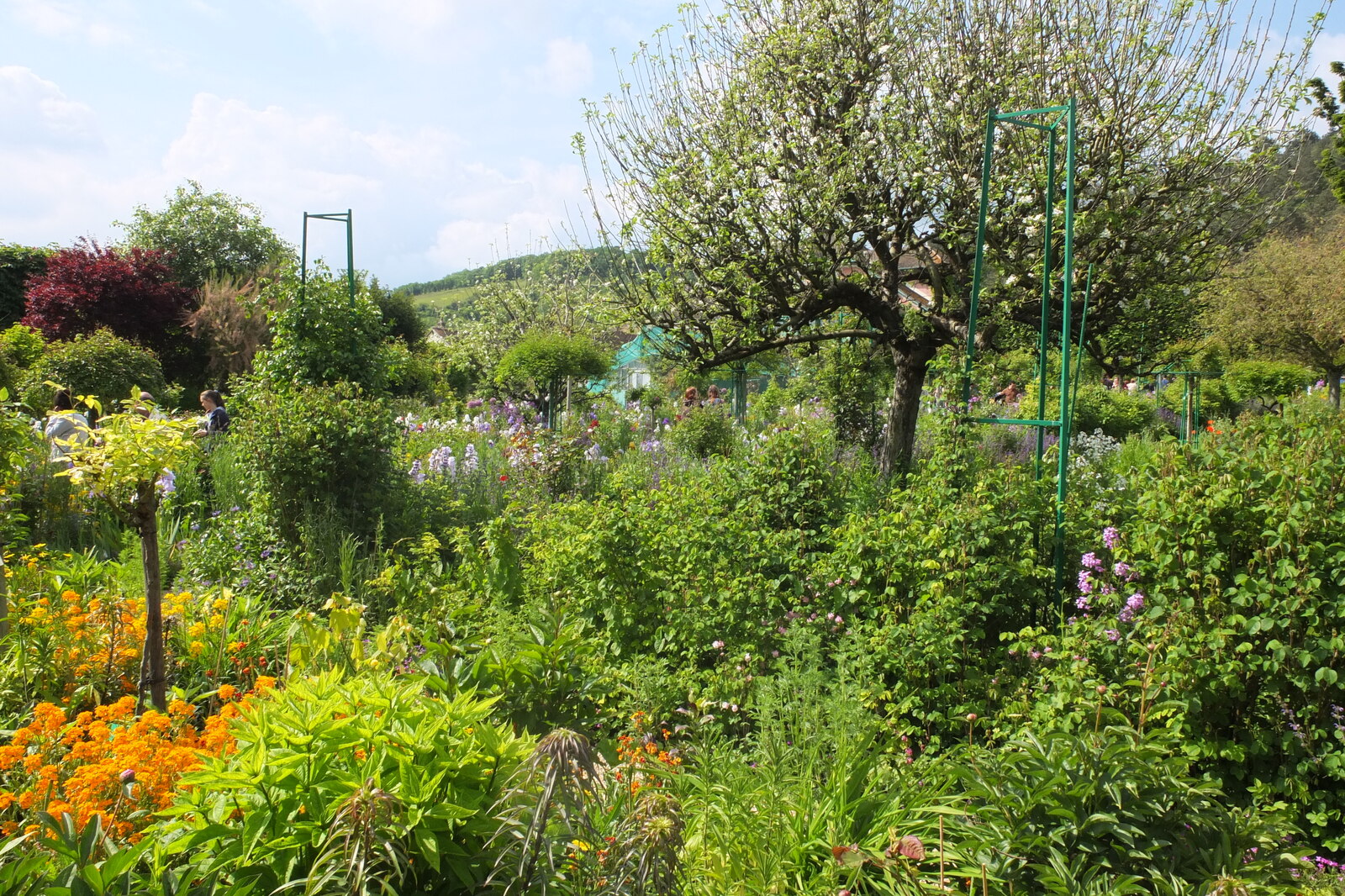 รูปถ่าย ฝรั่งเศส(France) ฌีแวร์นี(Giverny) 2013-06 132
