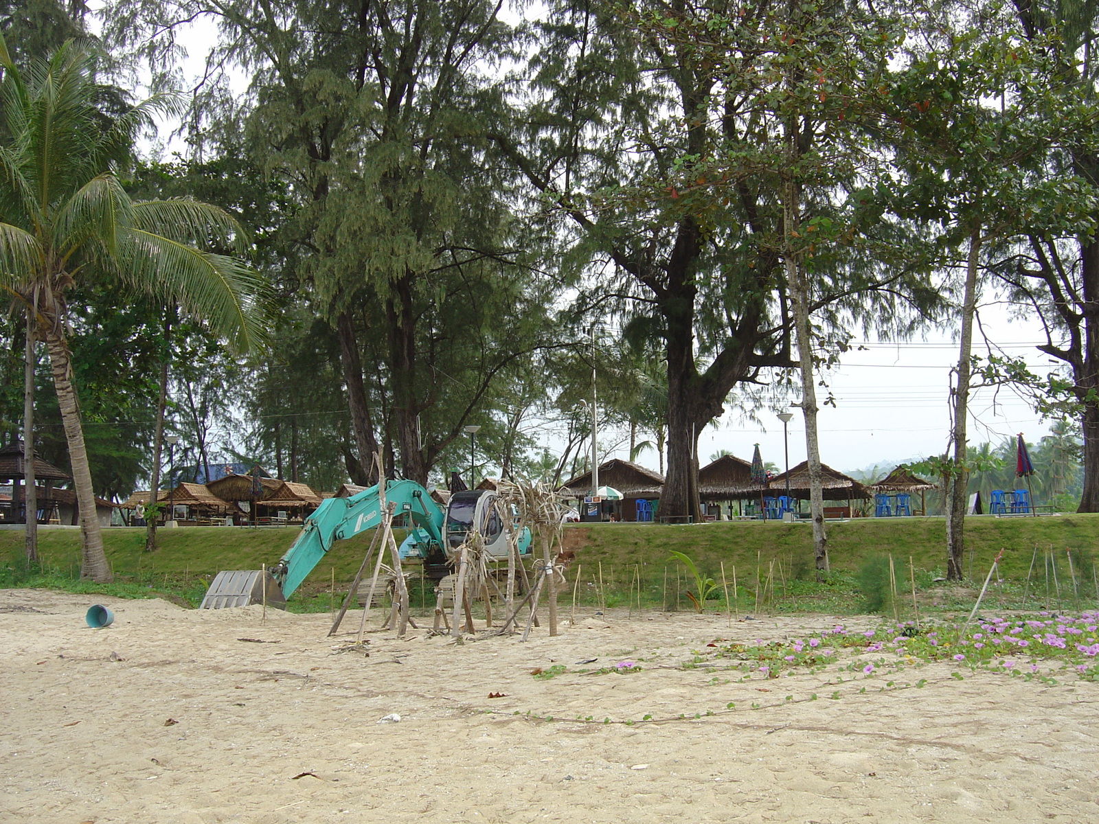 รูปถ่าย ไทย(Thailand) เขาหลัก(Khao Lak) หาดบางสัก(Bang Sak Beach) 2005-12 84