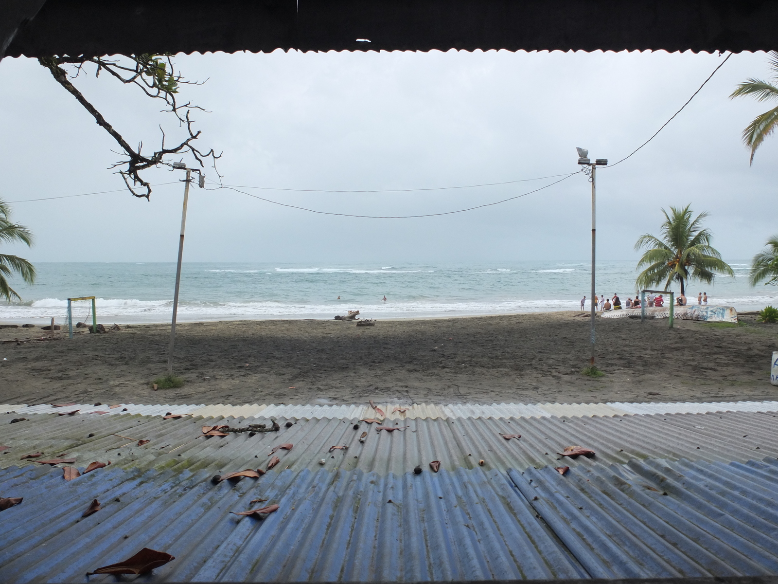 รูปถ่าย คอสตาริกา(Costa Rica) ปวยร์โตเบียโฆเดตาลามังกา(Puerto Viejo de Talamanca) 2015-03 137