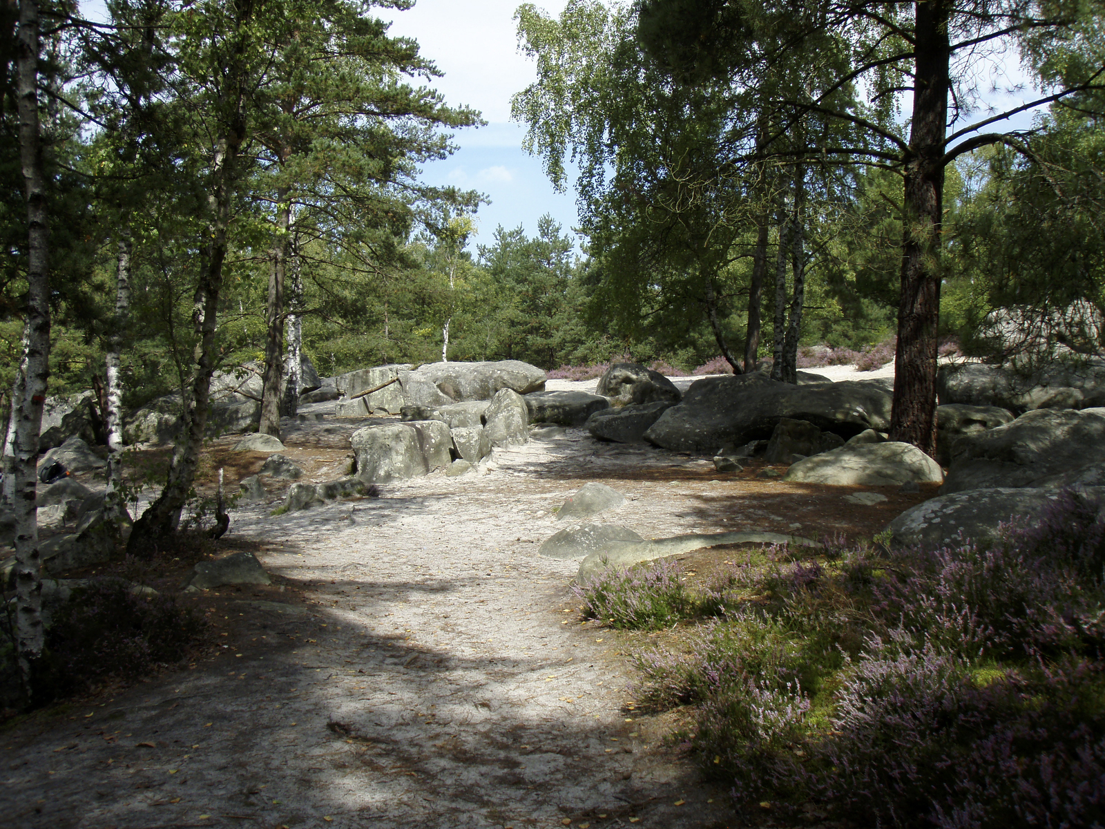 รูปถ่าย ฝรั่งเศส(France) ฟงเทนโบล(Fontainebleau) ทัวร์ป่า(Circuit des 25 bosses) 2007-08 134
