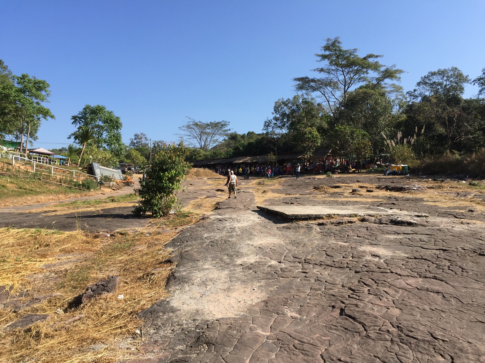 รูปถ่าย ไทย(Thailand) อุทยานแห่งชาติภูหินร่องกล้า(Phu Hin Rong Kla National Park) 2014-12 239