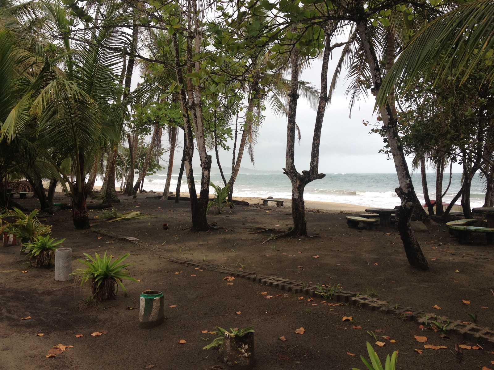 รูปถ่าย คอสตาริกา(Costa Rica) ปวยร์โตเบียโฆเดตาลามังกา(Puerto Viejo de Talamanca) 2015-03 75