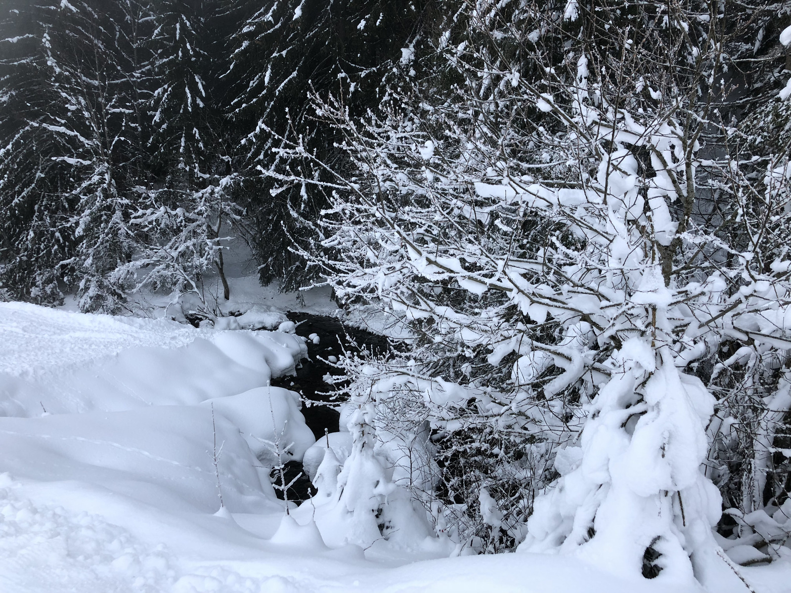รูปถ่าย ฝรั่งเศส(France) ลากลูซา(La Clusaz) 2017-12 26