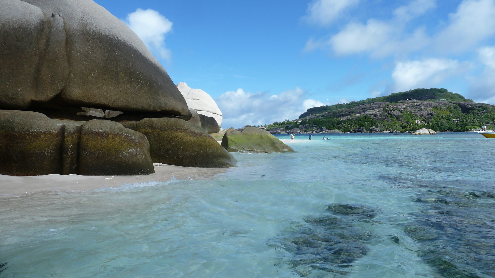 รูปถ่าย เซเชลส์(Seychelles) เกาะโกโก้(Coco Island) 2011-10 82