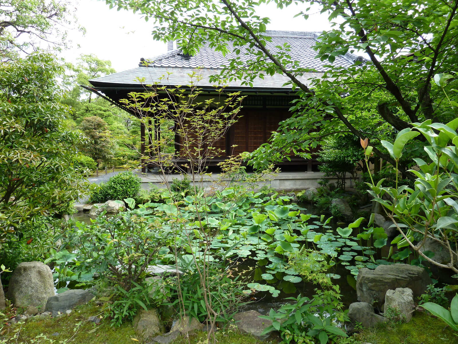 รูปถ่าย ญี่ปุ่น(Japan) เกียวโต(Kyoto) สวนโชเซเอ็ง(Shosei en Garden) 2010-06 15