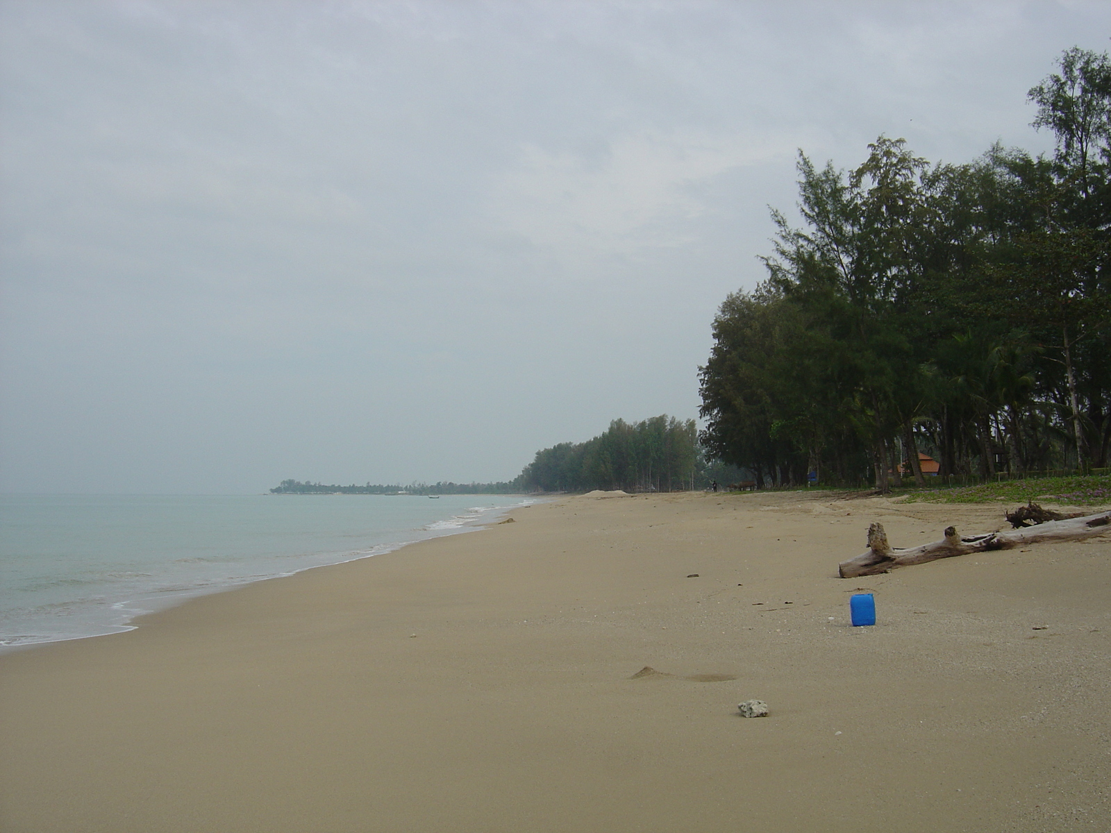 รูปถ่าย ไทย(Thailand) เขาหลัก(Khao Lak) หาดบางสัก(Bang Sak Beach) 2005-12 6