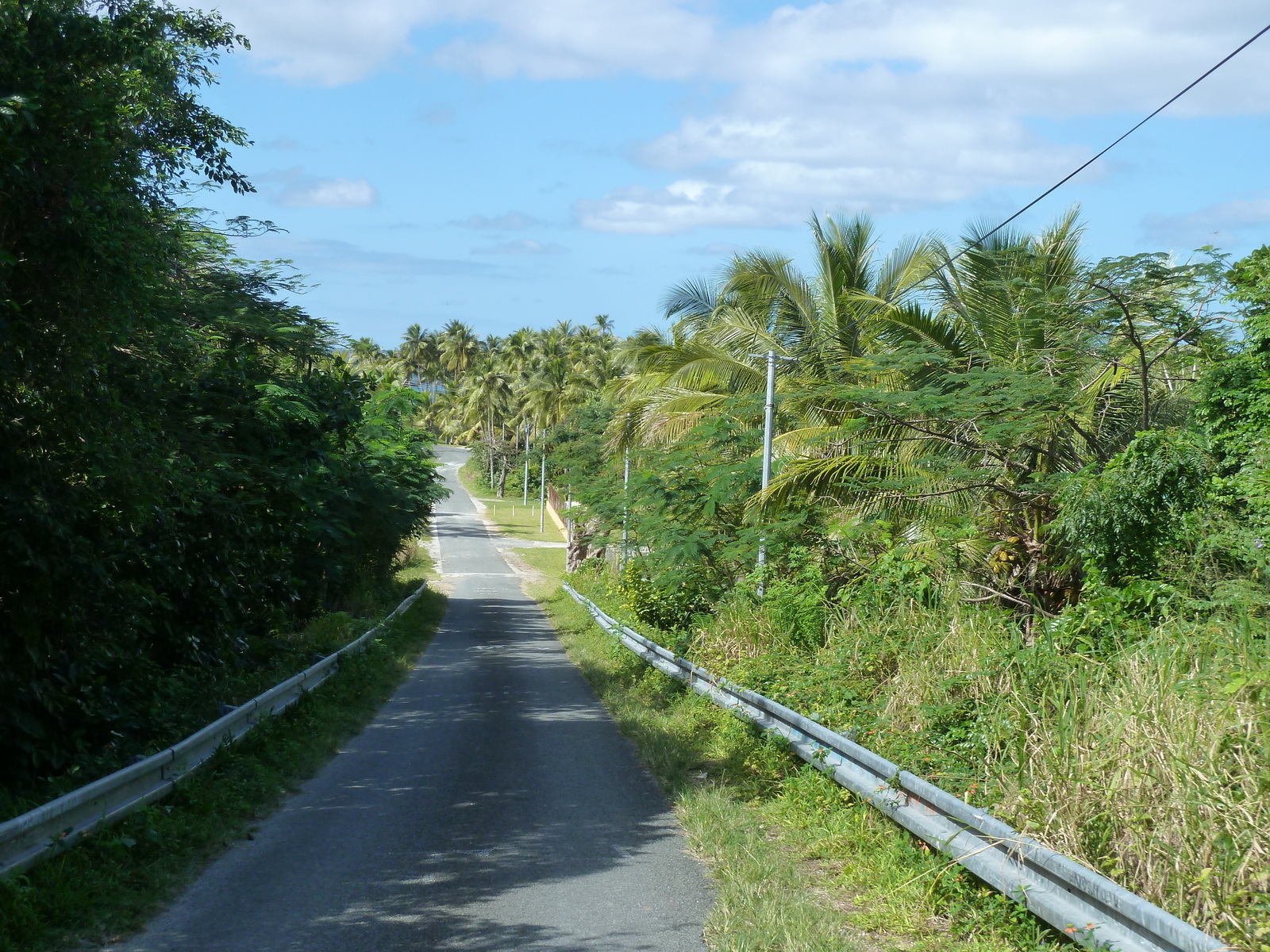 รูปถ่าย นิวแคลิโดเนีย(New Caledonia) เกาะลีฟู(Lifou) 2010-05 25