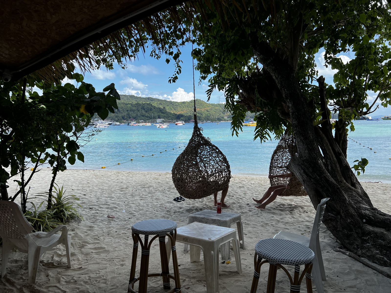 รูปถ่าย ไทย(Thailand) เกาะพีพีดอน(Ko Phi Phi Don) 2021-12 108