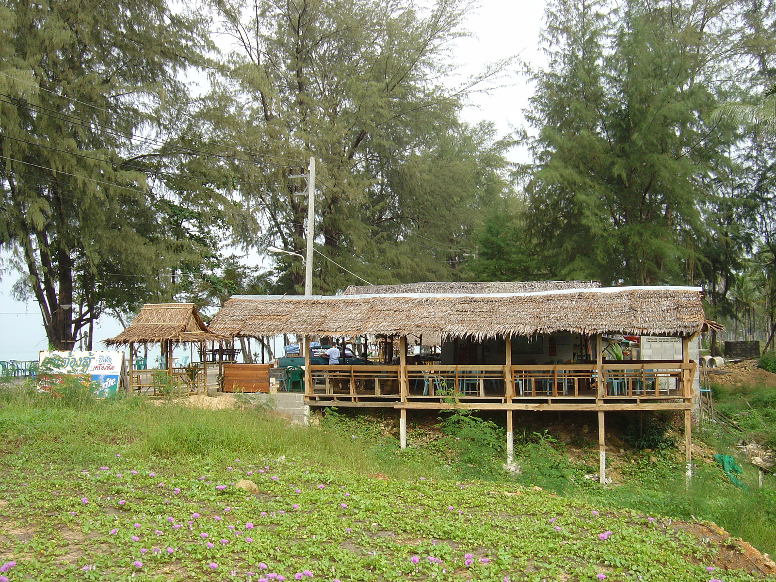 รูปถ่าย ไทย(Thailand) เขาหลัก(Khao Lak) หาดบางสัก(Bang Sak Beach) 2005-12 85