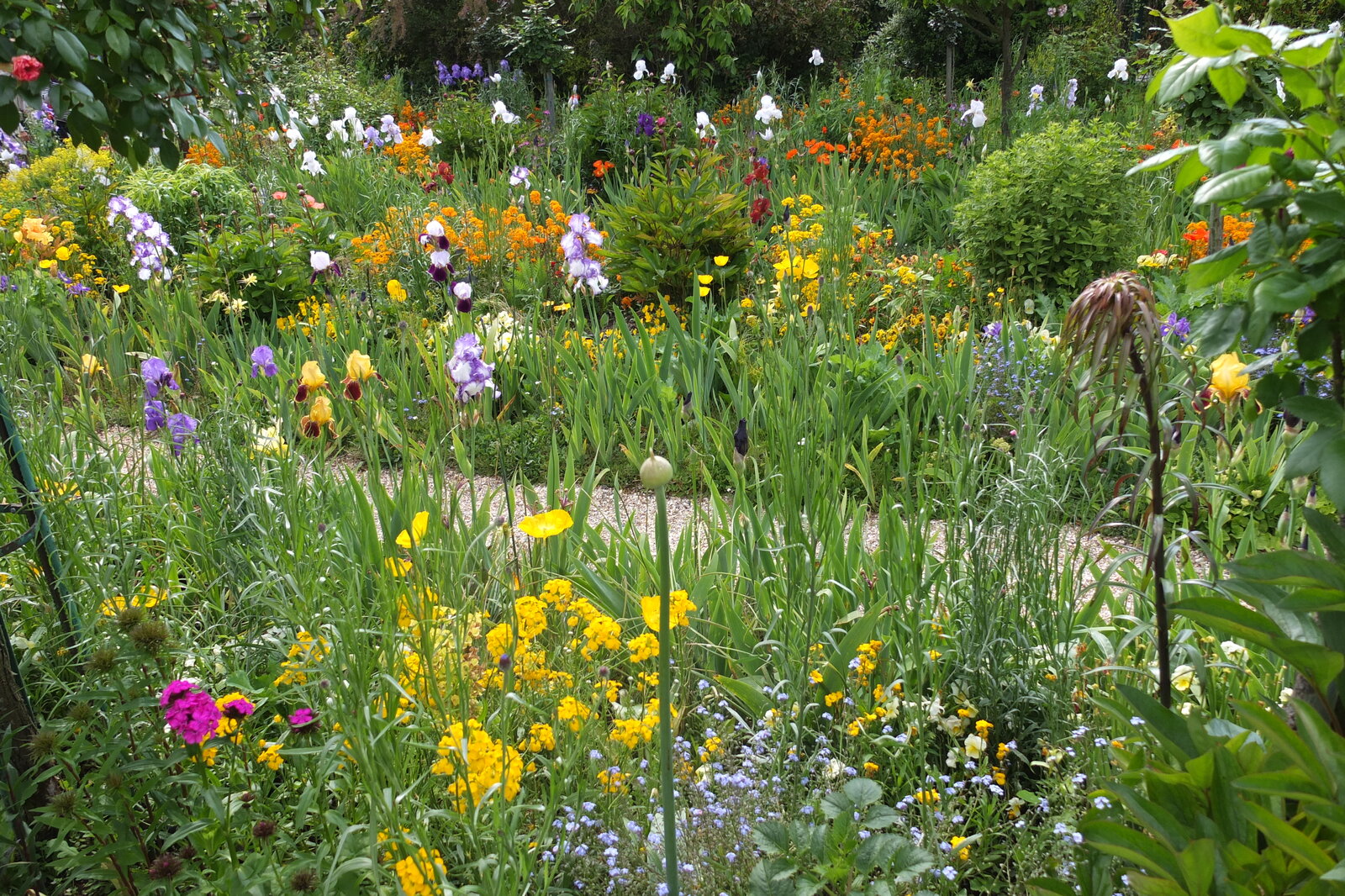 รูปถ่าย ฝรั่งเศส(France) ฌีแวร์นี(Giverny) 2013-06 89