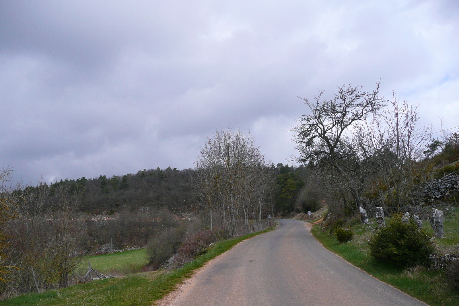 รูปถ่าย ฝรั่งเศส(France) โอบรัก(L'Aubrac) 2008-04 115
