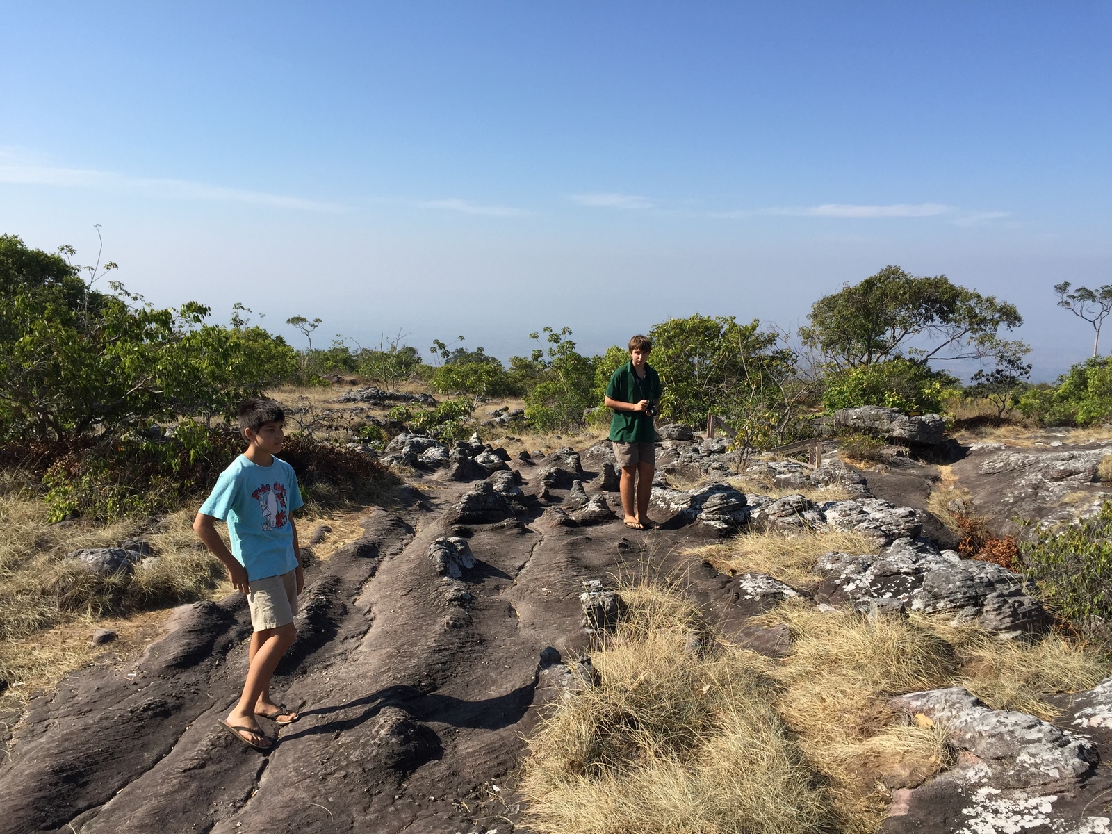 รูปถ่าย ไทย(Thailand) อุทยานแห่งชาติภูหินร่องกล้า(Phu Hin Rong Kla National Park) 2014-12 211