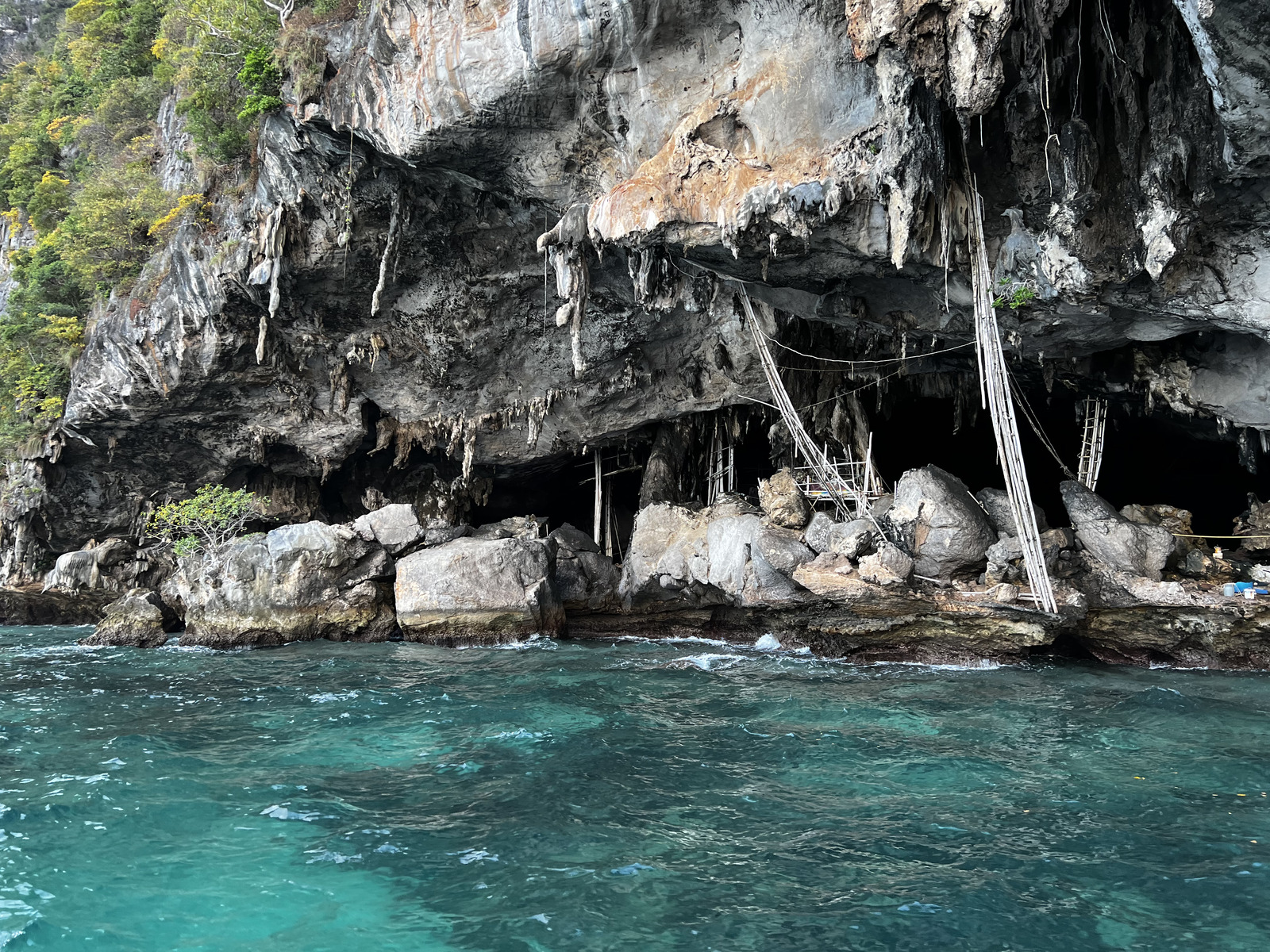 รูปถ่าย ไทย(Thailand) เกาะพีพีเล(Ko Phi Phi Ley) 2021-12 135