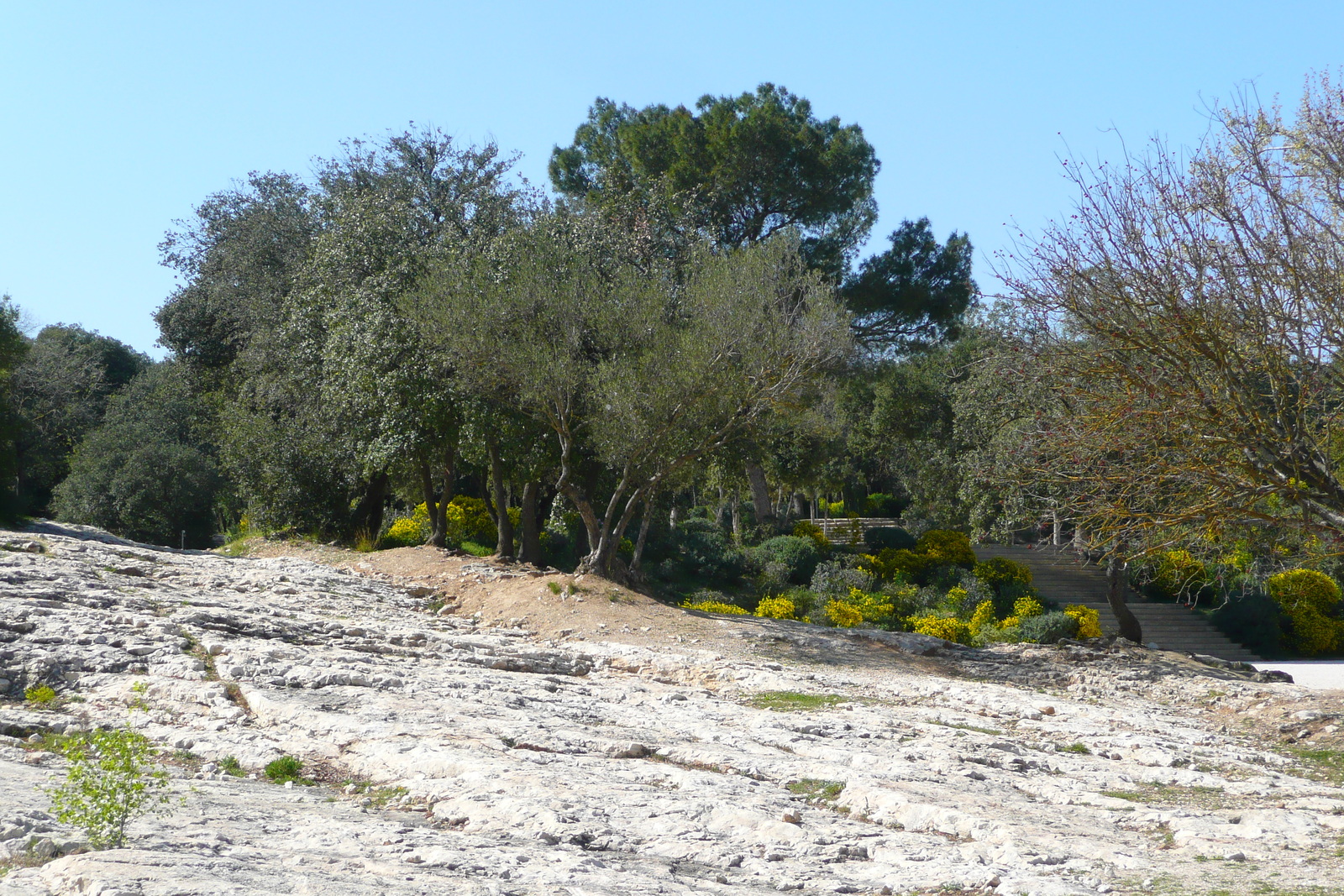 รูปถ่าย ฝรั่งเศส(France) สะพานปงดูการ์(Pont du Gard) 2008-04 36