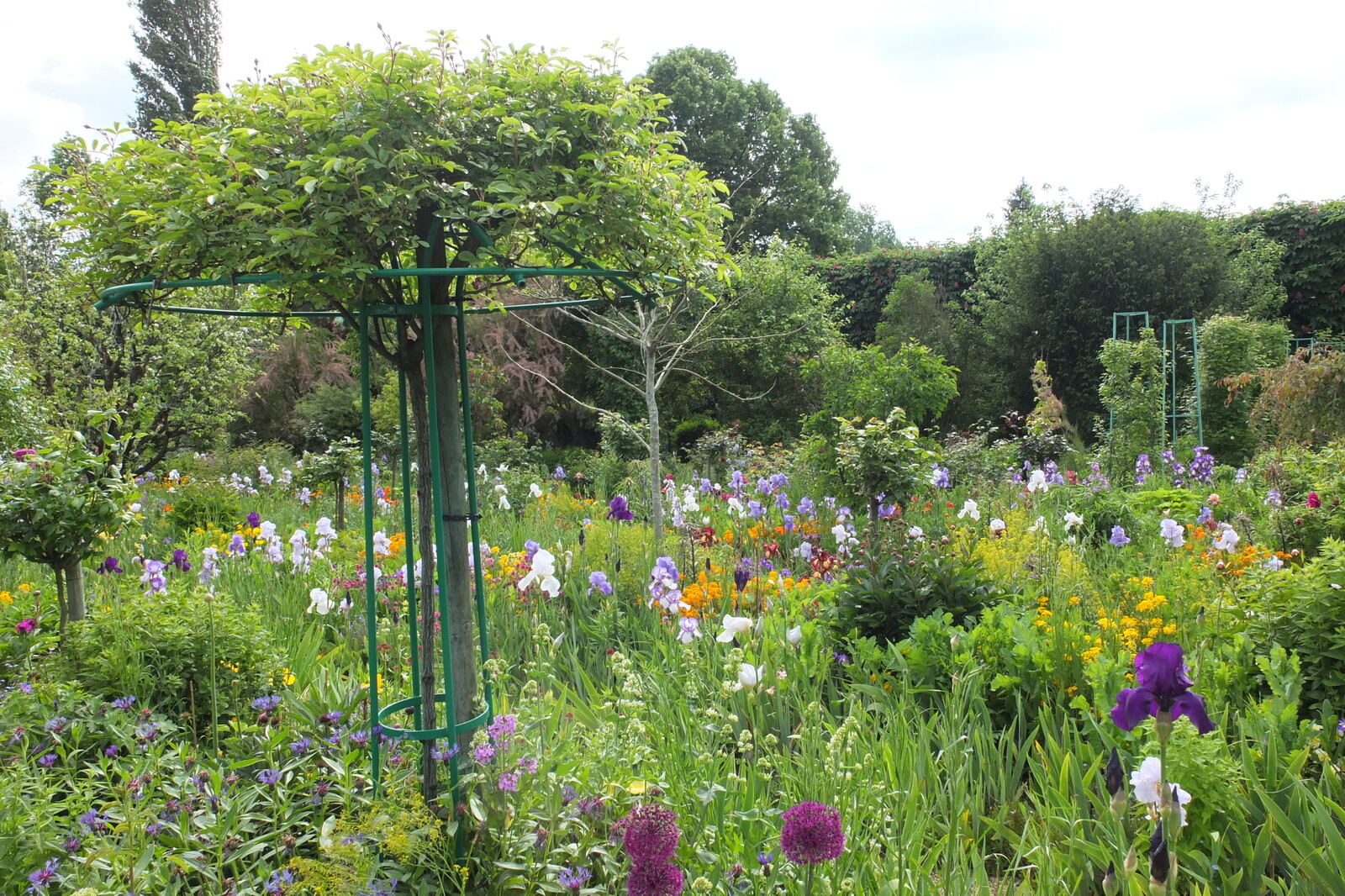 รูปถ่าย ฝรั่งเศส(France) ฌีแวร์นี(Giverny) 2013-06 81
