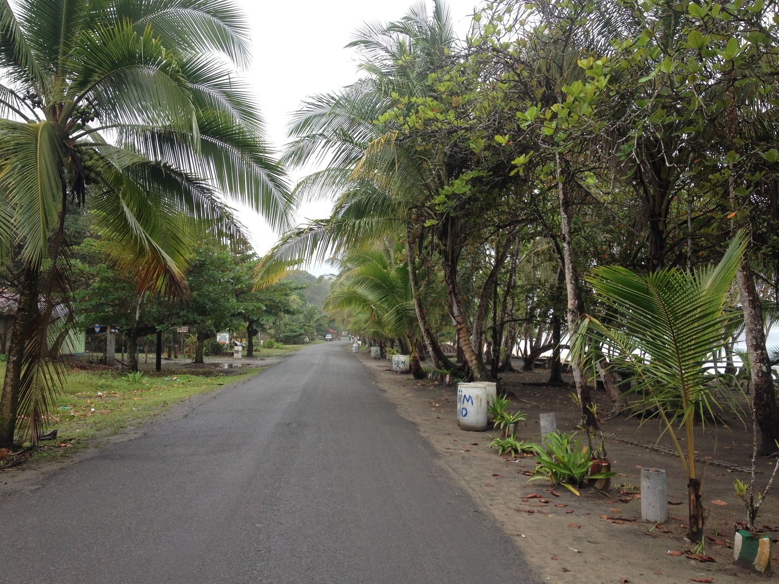 รูปถ่าย คอสตาริกา(Costa Rica) ปวยร์โตเบียโฆเดตาลามังกา(Puerto Viejo de Talamanca) 2015-03 89