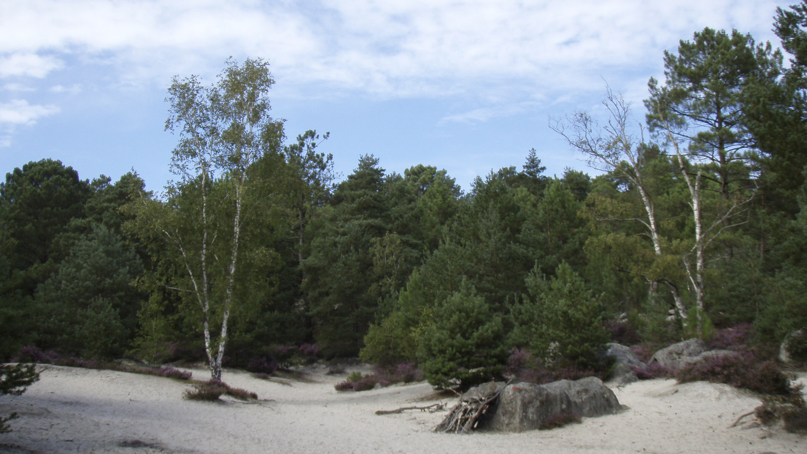 รูปถ่าย ฝรั่งเศส(France) ฟงเทนโบล(Fontainebleau) ทัวร์ป่า(Circuit des 25 bosses) 2007-08 177