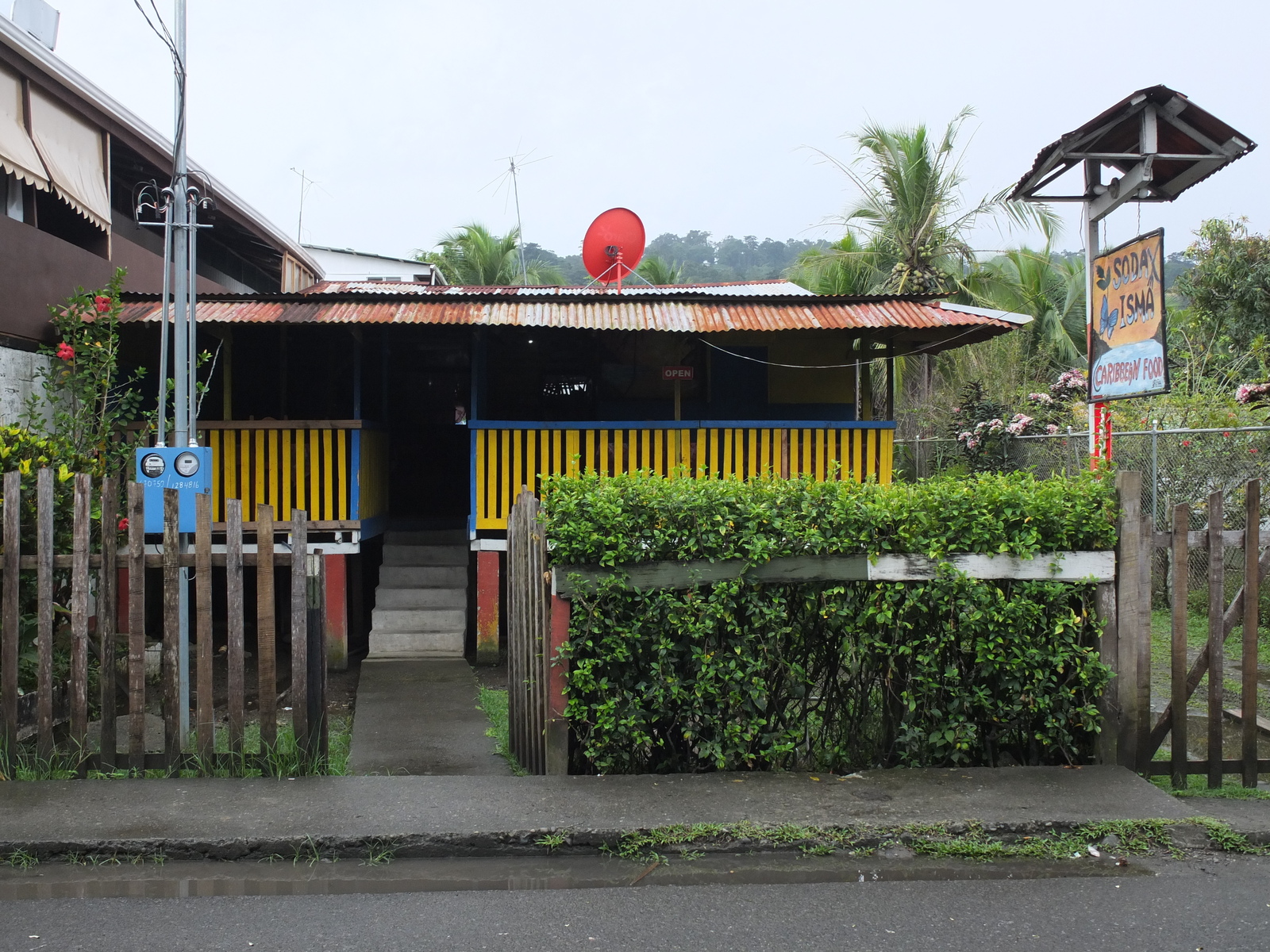 รูปถ่าย คอสตาริกา(Costa Rica) ปวยร์โตเบียโฆเดตาลามังกา(Puerto Viejo de Talamanca) 2015-03 138