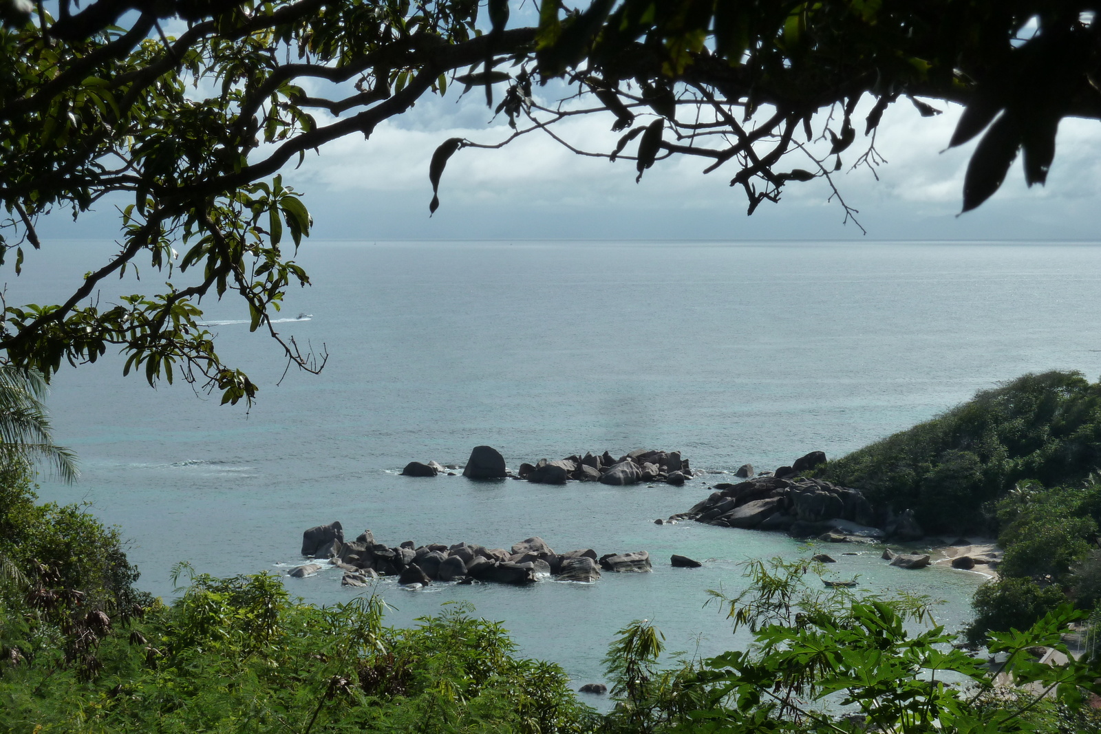 รูปถ่าย เซเชลส์(Seychelles) เกาะปราลิน(Praslin) 2011-10 116