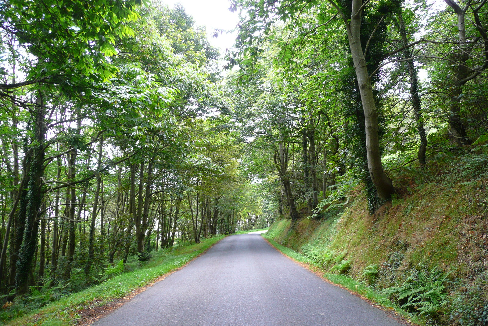 รูปถ่าย ฝรั่งเศส(France) ถนนในบริตตานี(Brittany roads) 2007-08 62