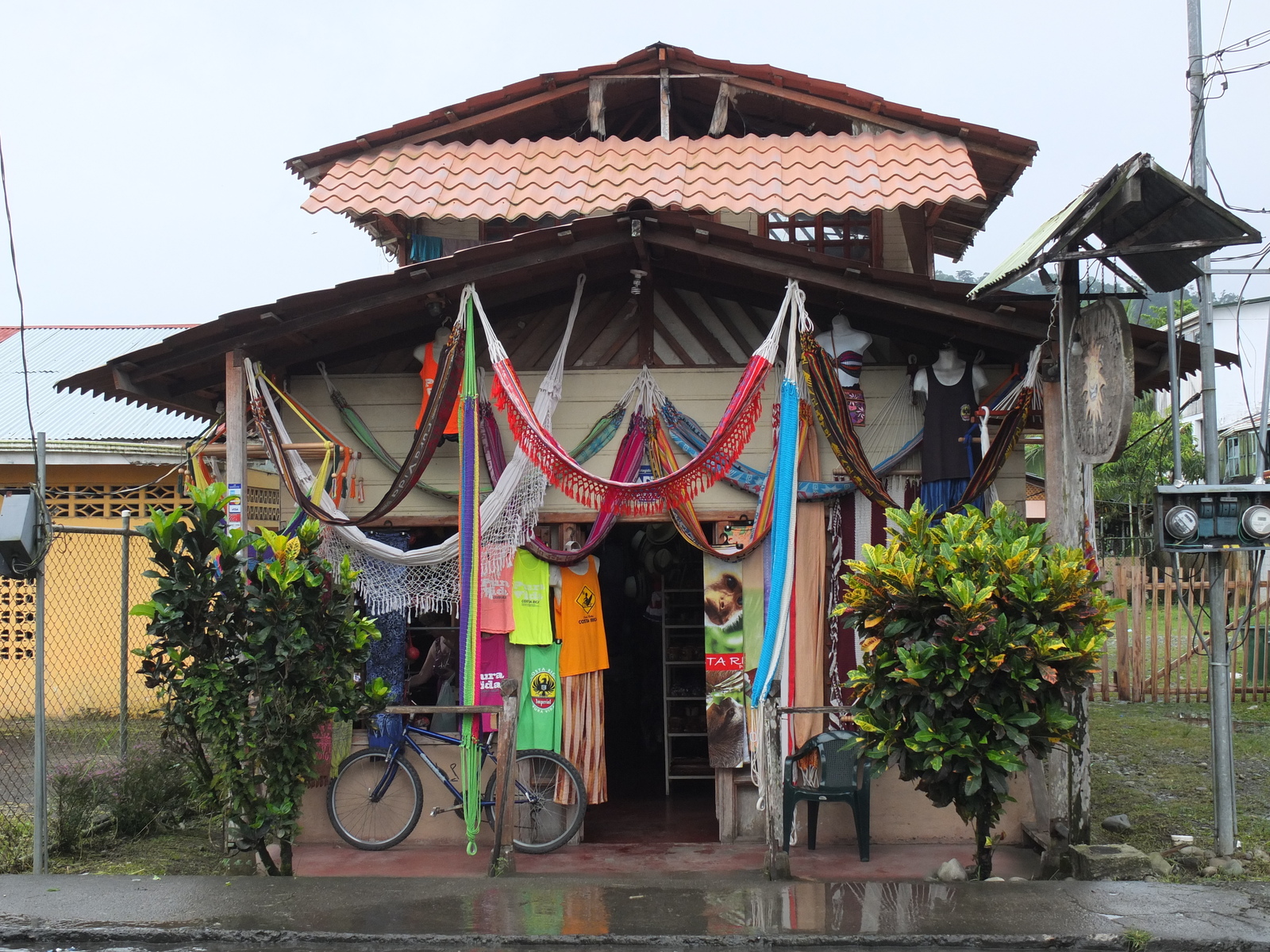 รูปถ่าย คอสตาริกา(Costa Rica) ปวยร์โตเบียโฆเดตาลามังกา(Puerto Viejo de Talamanca) 2015-03 140
