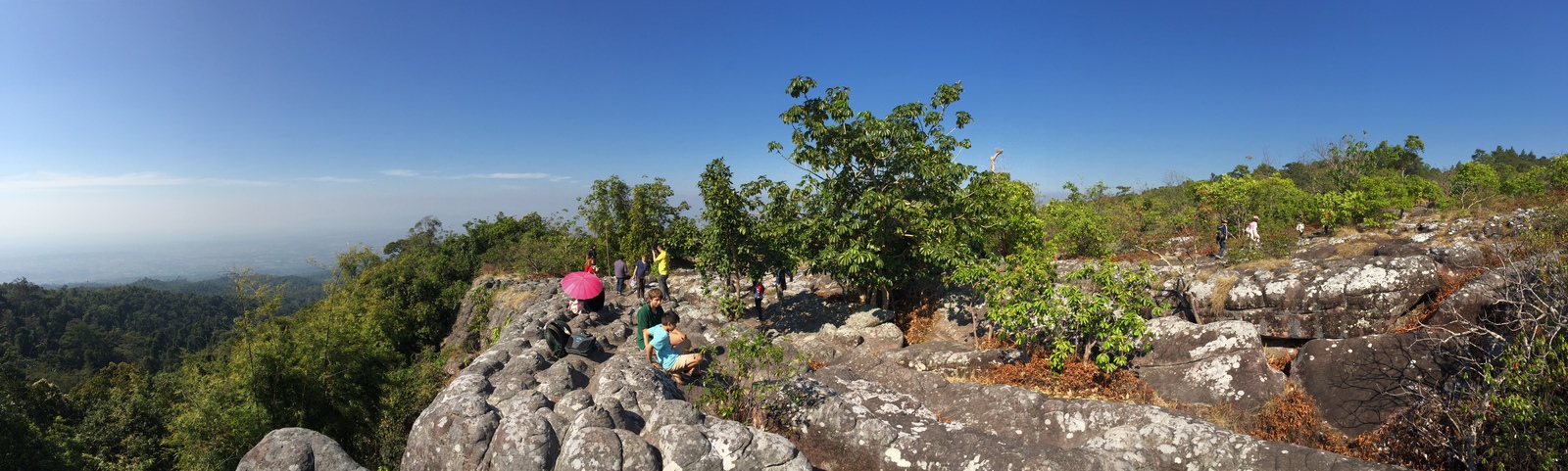 รูปถ่าย ไทย(Thailand) อุทยานแห่งชาติภูหินร่องกล้า(Phu Hin Rong Kla National Park) 2014-12 127