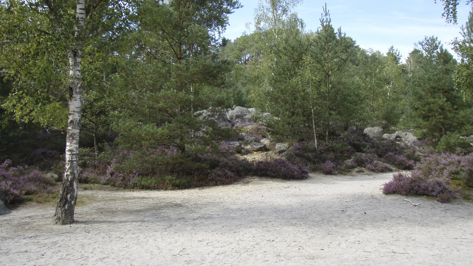 รูปถ่าย ฝรั่งเศส(France) ฟงเทนโบล(Fontainebleau) ทัวร์ป่า(Circuit des 25 bosses) 2007-08 147