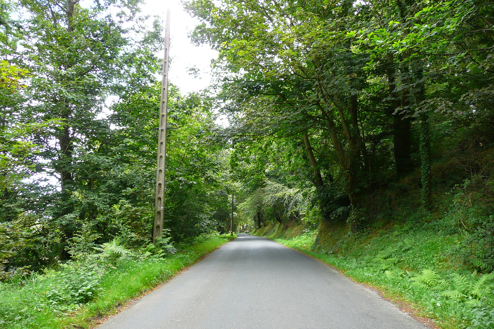 รูปถ่าย ฝรั่งเศส(France) ถนนในบริตตานี(Brittany roads) 2007-08 63