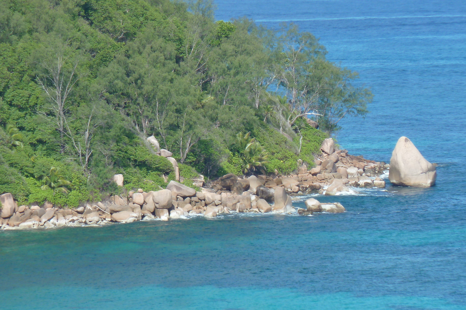 รูปถ่าย เซเชลส์(Seychelles) เกาะปราลิน(Praslin) 2011-10 131